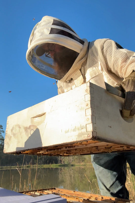Beekeeping Consultation